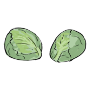 Brussels sprouts Brussels sprouts